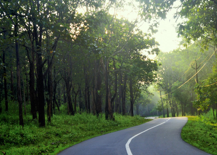 Experience Wayanad – Wildlife, Rock and Cuisine