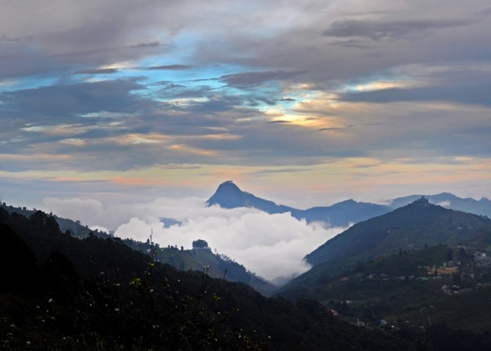 Experience Vattakanal & Kodai