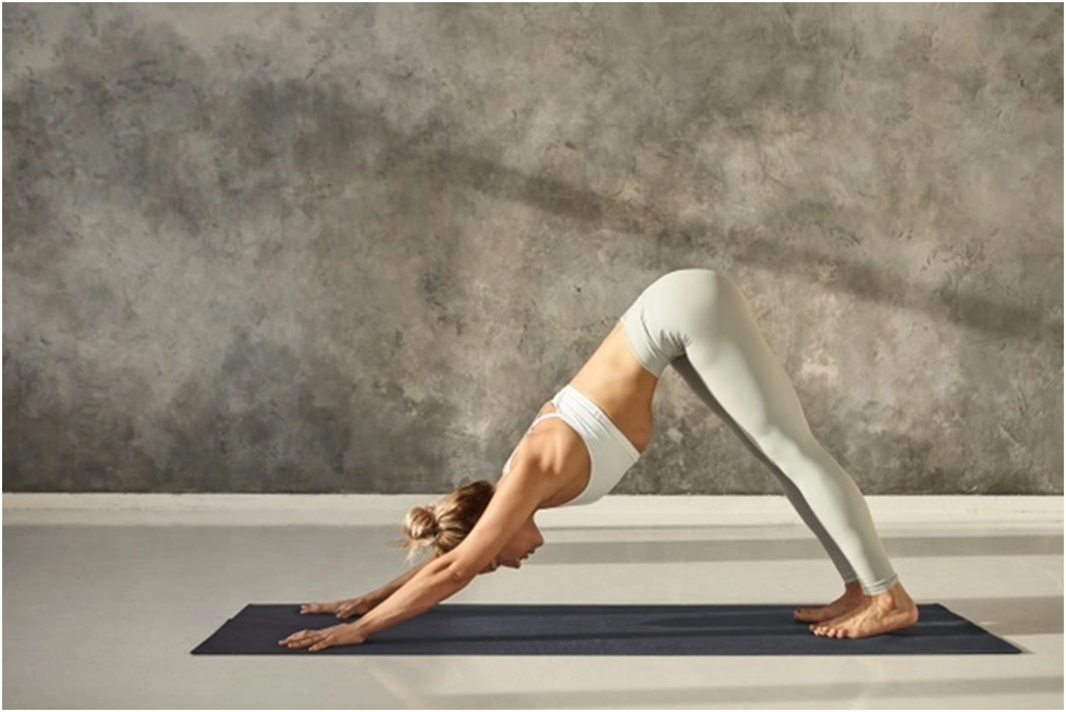 Downward Facing Dog (AdhoMukhaSvanasana)