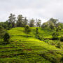 Coonoor-Tamilnadu-UCL